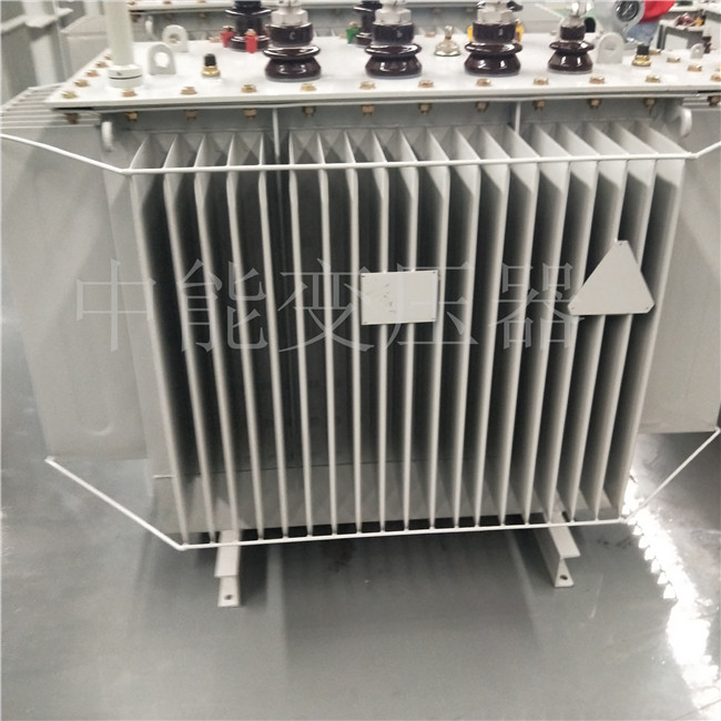 白山S20-800KVA变压器